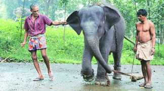 indianexpress.com Raghulal