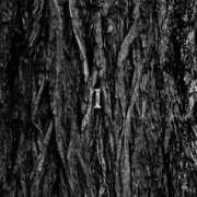 balkanrock.com Rajber