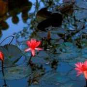 fotoblur.com Rajgarhia