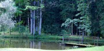 foto.delfi.lt Rajone