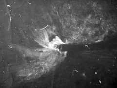 klima-luft.de Rambaut