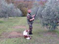 fidc-panicarolamacchie.com Rambino