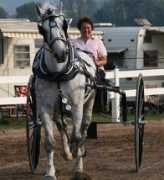 beetreetrail.com Randem