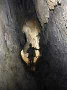 scavalon.be Rantanplan