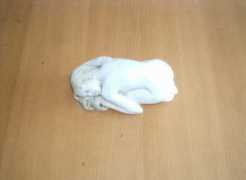 Rapariga