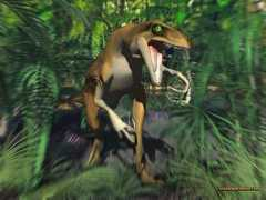 Raptors