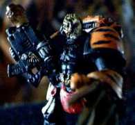 fightingtigersofveda.com Rashna