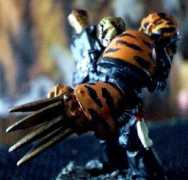 fightingtigersofveda.com Rashna