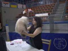 doubleforgeron.nl Ratingen