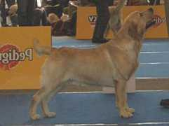 port.of.nessie.retriever.hu Ravonne