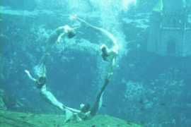 lohevisto.com Recreaciones