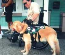 es.globedia.com Regalame