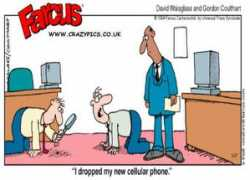 crazypics.co.uk Regwa