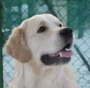 brdskezlato.com Reilova