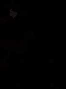 piggysangel.free.fr Reinne