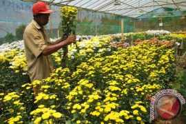 antaranews.com Rembangan