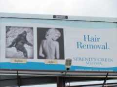 picshag.com Removal