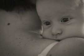 fotogard.com Rendeli