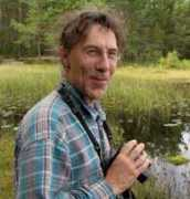 birdsafarisweden.com Renman