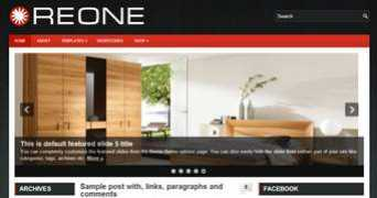 ozoneeleven.com Reone
