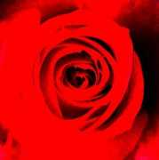 Ress