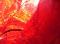 inkandashes.com Ressman