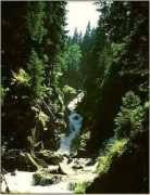 karpatenwilli.com Reteza