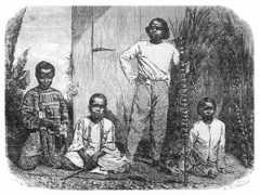 criminocorpus.revues.org Reunionnais