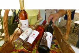 reutlinger-wein.de Reutlinger