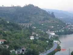 panoramio.com Ribadouro