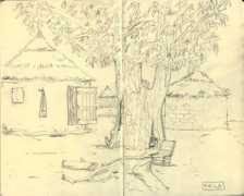 tpafrica.it Ribichini