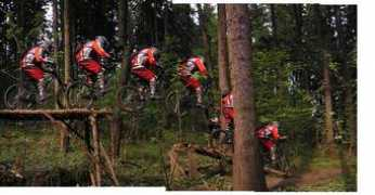 dolekop.com Richardos