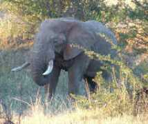 joanna-zeiger.com Richardsbay