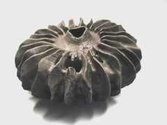 galerie-orfeo.com Ricourt