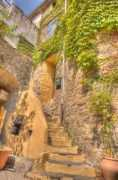 Rigarda
