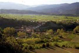 Rigarda