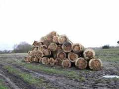 paulrigolle.be Rigolle