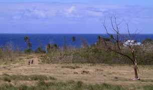 Rincon