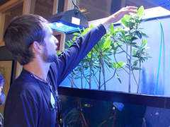 soundwaves.usgs.gov Ringelspaugh