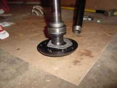 Ringon