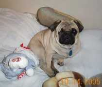 bluegras.startlogic.com Rockco