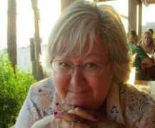 tonysimmons.blogs.newsherald.com Roemarie