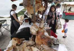 elcomercio.es Rojasa