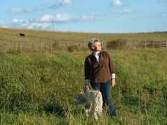 news.nationalgeographic.com Romanetti