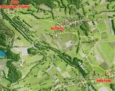 Roncaia