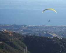 circlinghawk.com Rondean