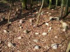 begehbare-labyrinthe.de Rosebur