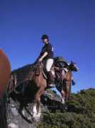 maragnene.ch Rosemira