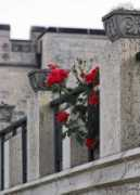 Rosered