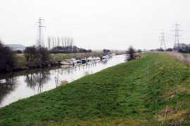 Rother
